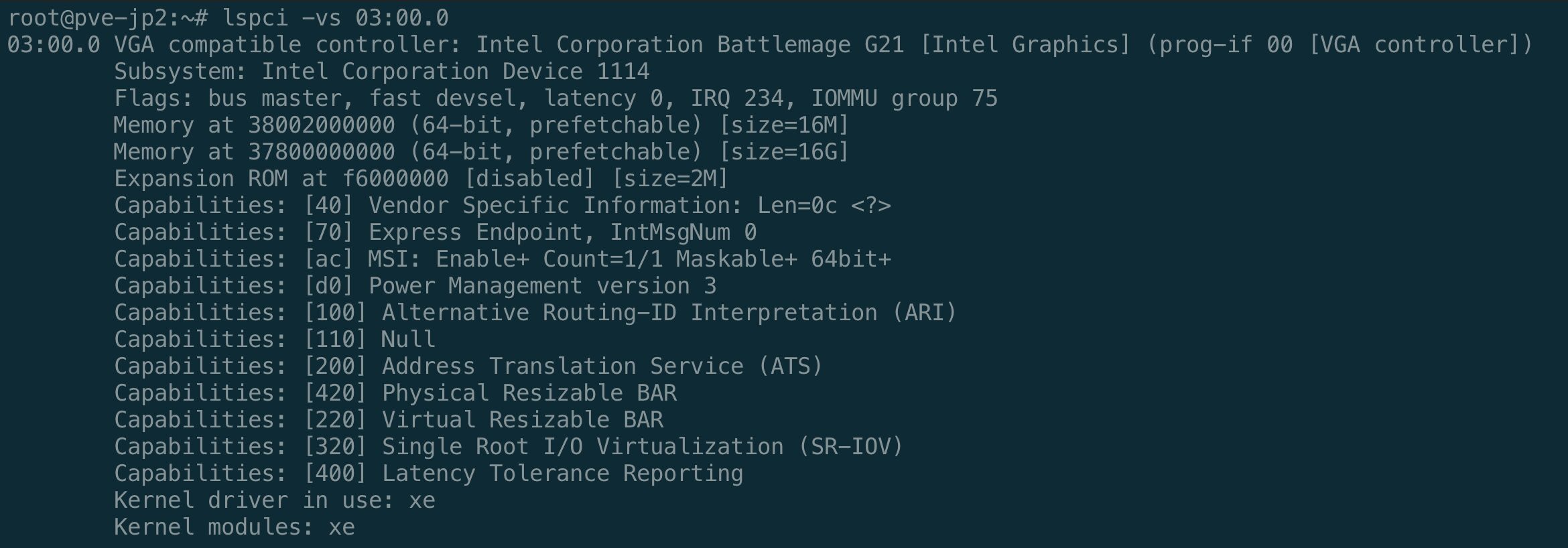 lspci 確認 B50 偵測及 xe driver